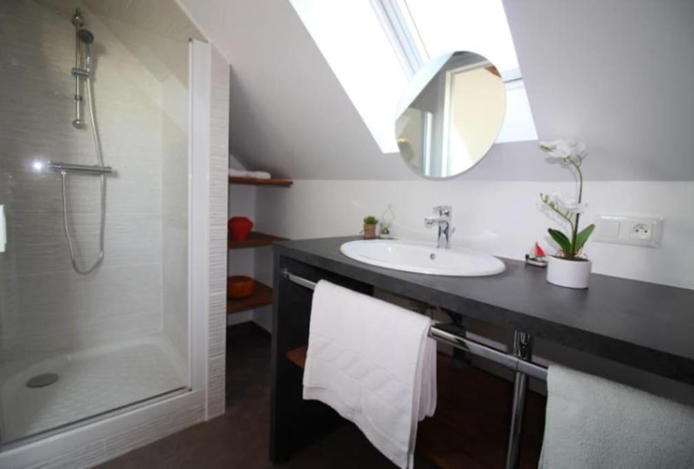 Appt T2 Les Hortensias 3 Etoiles Centre Proche Appartement *